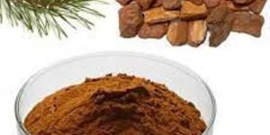 Pine Bark Extract