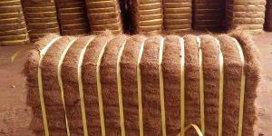 Coir Fiber Bales
