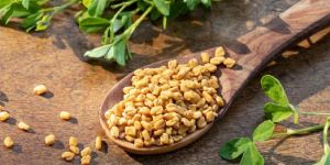 Fenugreek Seeds
