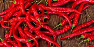 Fresh Red Chilli