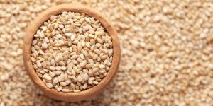 Sesame Seeds