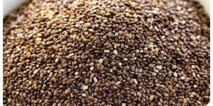 Chia Seeds