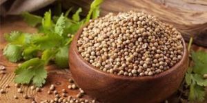 Coriander Seeds