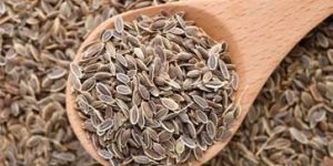 Dill Seeds