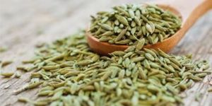 Fennel Seeds