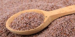 Psyllium Seeds