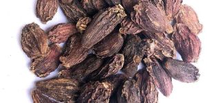 Black Cardamom