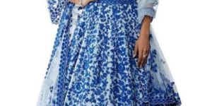 Ladies Lehenga Choli Set