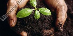 Bio Enriched Organic Manure