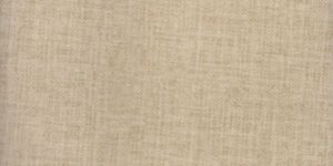 Zito Printed Imported Suede Fabric