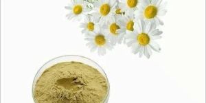Chamomile Extract