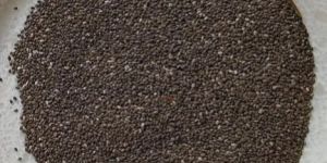Organic Chia Seeds