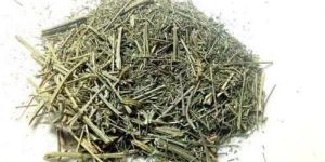 Organic Dry Chirata Leaf