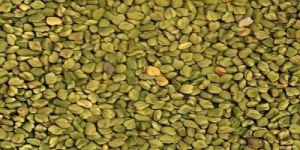 Organic Green Fenugreek Seeds
