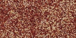 Organic Red Chia Seeds