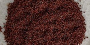 Organic Red Quinoa Seeds