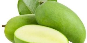Fresh Green Mango