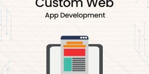 Custom Web Application Development Services