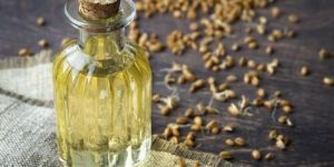 Wheat Germ Oil