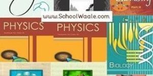 Class 12 UP Board Books Set