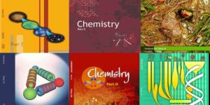 Class 9 UP Board Books Set