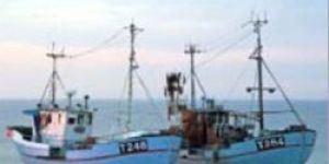 Proxy Marine Coating Services