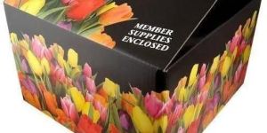 Four Color Printed Corrugated Box