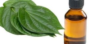 Betel Leaf Essential Oil