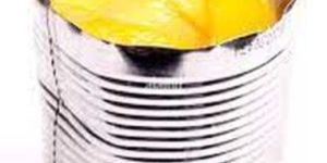 Canned Mango Slice
