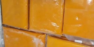 Frozen Mango Pulp