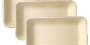 Rectangle Areca Leaf Plates