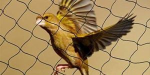 Anti Bird Net