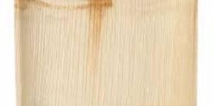 9 Inch Square Shallow Biodegradable Palm Leaf Plate