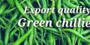 Green Chilli