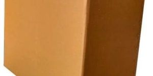 6 Kg 5 Ply Rectangular Corrugated Box