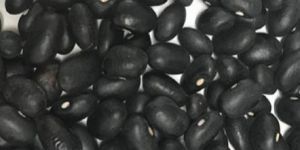 Black Kidney Beans