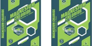 BOPP Liner Inserted Bag