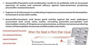 Amoxycillin Potassium Clavulanate Lactic Acid Bacillus Tablet