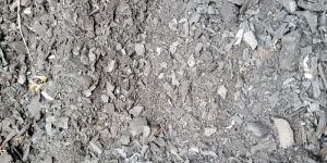 Wood Charcoal Powder