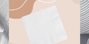 Dinner Plate Napkin 2ply