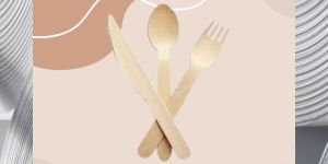 Biodegradable Disposable Cutlery Set