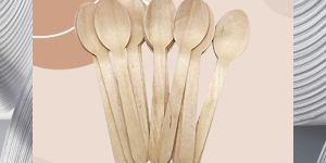 Biodegradable Spoon