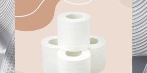 Embossed Toilet Paper Roll