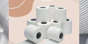 Toilet Tissue Paper Roll