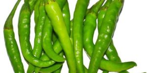 Fresh Green Chilli