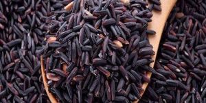 Black Rice