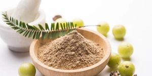 Amla Powder