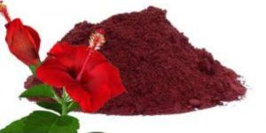 Hibiscus Powder