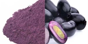 Jamun Powder