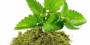 Tulsi Powder